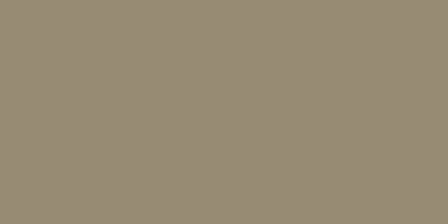 Winckelmans Rectangle Taupe, 100 x 200