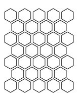 Winckelmans Hexagon Noir  porphyre 505 50 x 50 x 5 (op net)