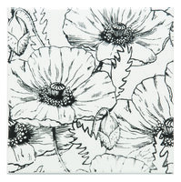 Tribute Black Lustre on Daisy (satin) 152 x 152