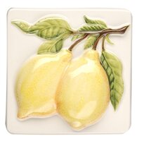 Coupe De Fruits Lemons 100 x 100