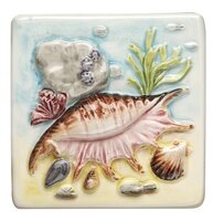 Coral Reef Conch Shell 100 x 100