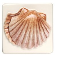 Fruits De Mer Scallop 100 x 100