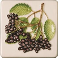 Coupe De Fruits Blackcurrants 100 x 100