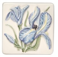 Bouquet De Fleurs Irises 100 x 100