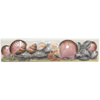 Fruits De Mer Sea Shells Border 200 x 50